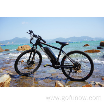 Long range motor 36V 350W electric mountain bike